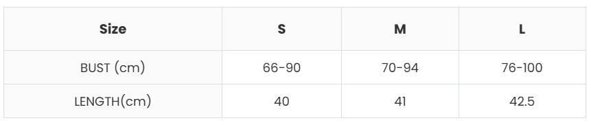 SheerTemptation Mesh Panel Spaghetti Strap Corset Top Castello Clothing Line