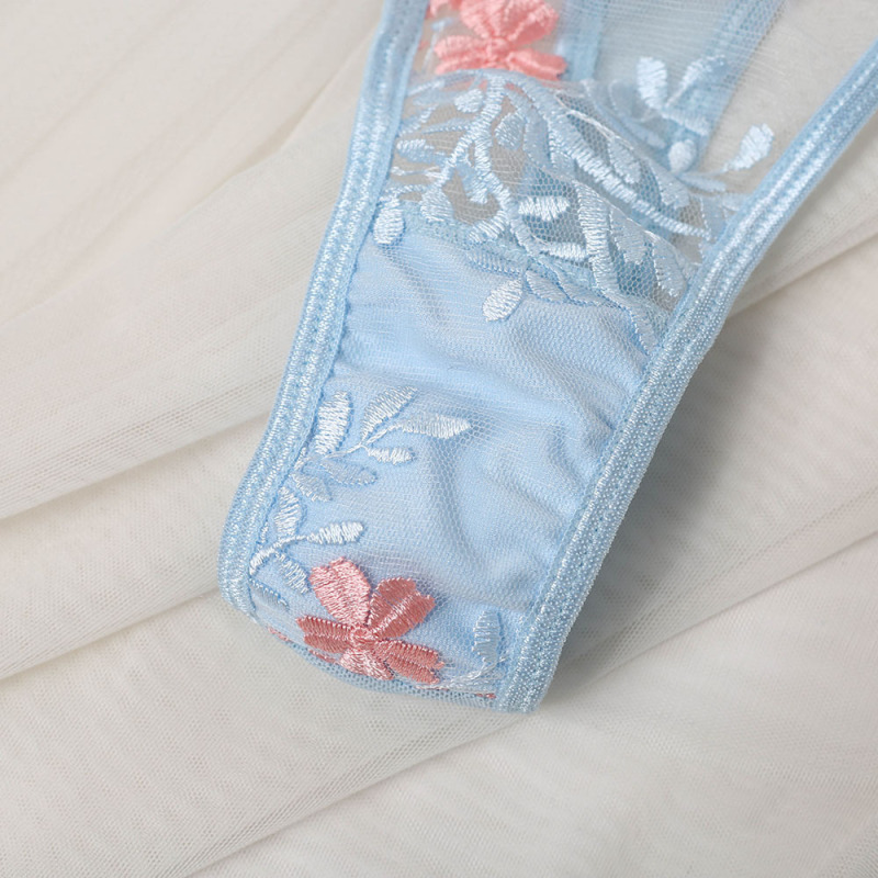 Sheer Embroidered Lace Bra & Panty Set Castello Clothing Line