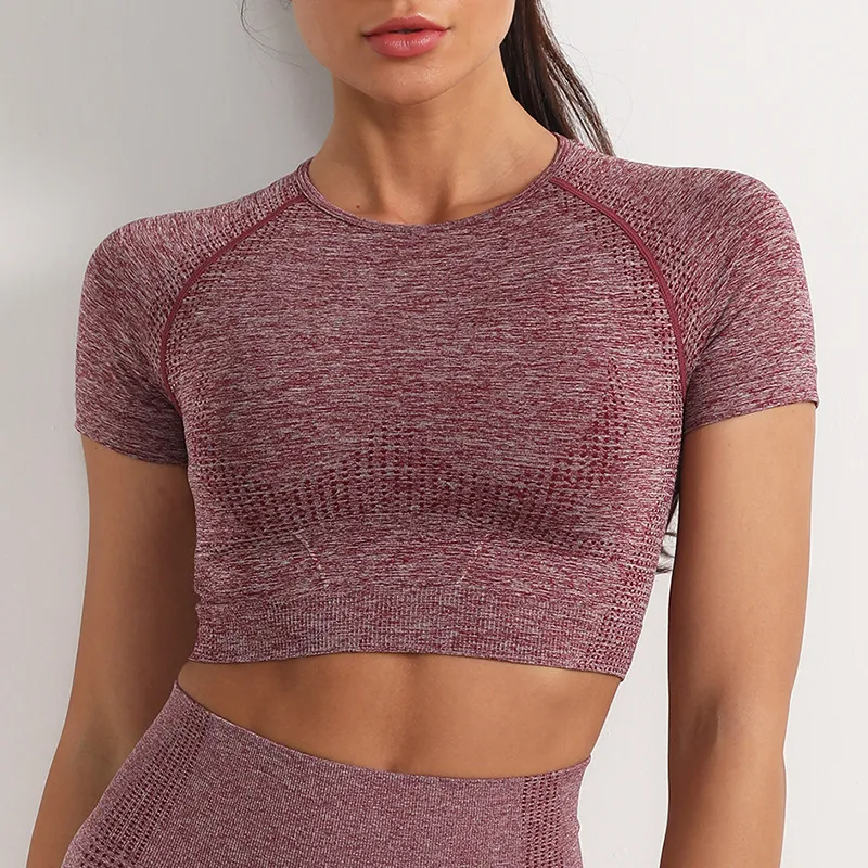Oona Seamless Short Sleeve Ribbed Knit Crop Top workout tops and t-shirts Castello Clothing Line