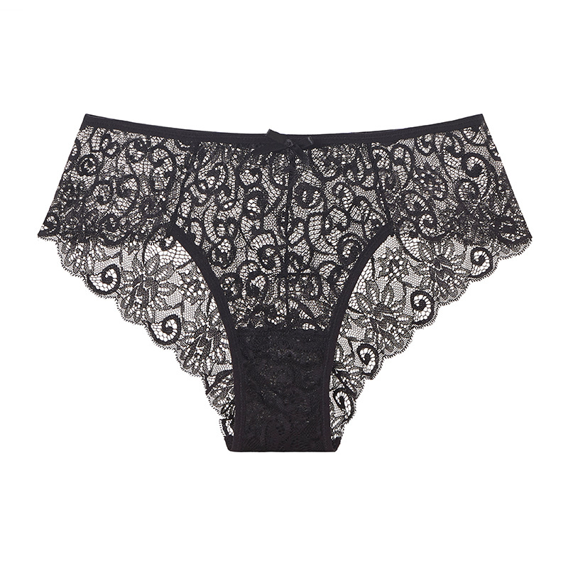 Embroidered Sheer Lace Cheeky Panty  Castello Clothing Line   