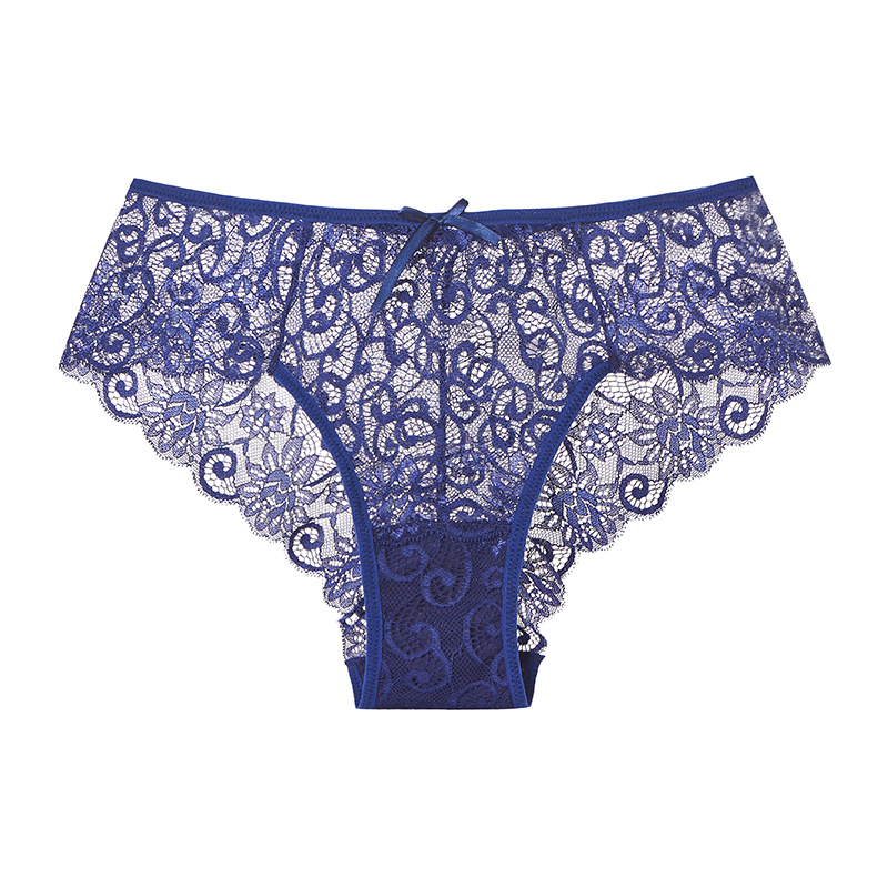 Embroidered Sheer Lace Cheeky Panty  Castello Clothing Line   