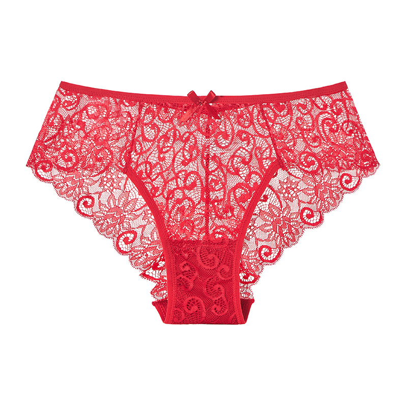Embroidered Sheer Lace Cheeky Panty  Castello Clothing Line   